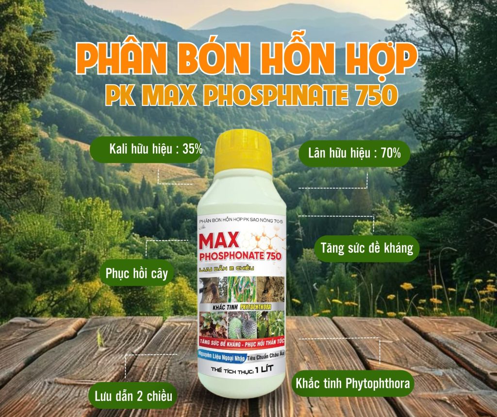 phan-bon-hon-hop-pk-phosphnate