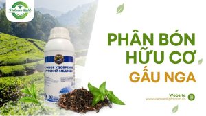 phan-bon-huu-co-gau-nga
