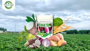 phan-bon-khoai-lang-D45