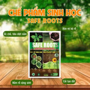 che-pham-sinh-hoc-cai-tao-dat-safe-roots