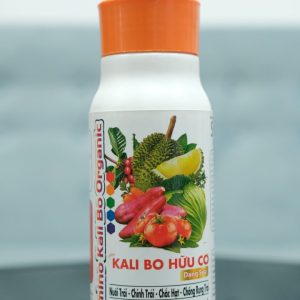 Phân bón kali bo hữu cơ giúp trái to đẹp mã