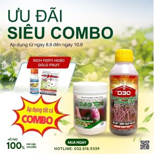 ưu đãi combo d30 d45 tặng canxi bo