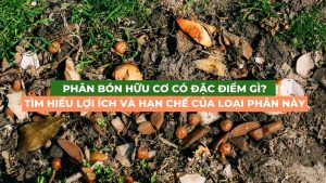 phân bón hữu cơ có đặc điểm gì
