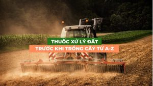 các loại thuốc xử lý đất trước khi trồng cây từ A-Z