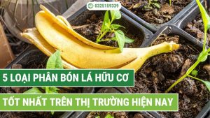 Các loại phân bón lá hữu cơ nổi bật trên thị trường