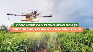 công nghệ cao trong nông nghiệp