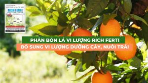 phân bón lá vi lượng Rich Ferti nuôi trái dưỡng cây