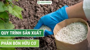 quy trình sản xuất phân bón hữu cơ