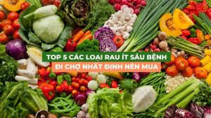 các loại rau ít bị sâu bệnh đi chợ nên mua