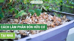 cách làm phân bón hữu cơ tại nhà hiệu quả