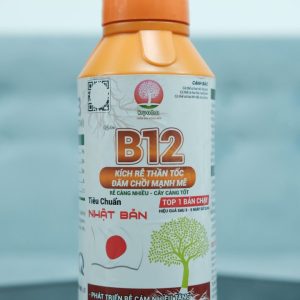 Thuốc kích rễ B12 siêu ra rễ