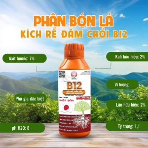 phân bón lá B12