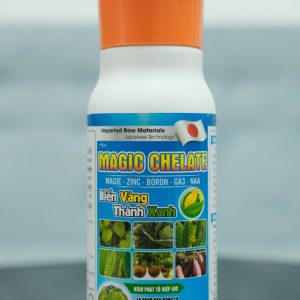 biến vàng thành xanh nhờ phân bón lá magic chelate