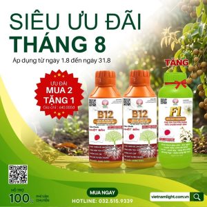 ưu đãi tháng 8 của kích rễ B12