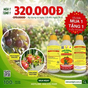 khuyến mãi tháng 9 mua 1 tặng 1 trái khủng plus