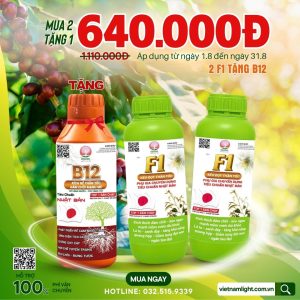 khuyến mãi mua 2 tặng 1 F1
