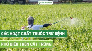 Các hoạt chất thuốc trừ bệnh