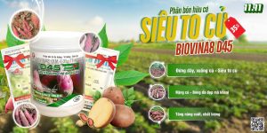 chương trình khuyến mãi D45