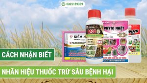 cách nhận biết nhãn hiệu thuốc trừ sâu bệnh hại