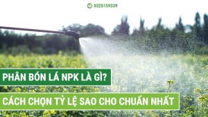 phân bón lá npk