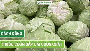 cách sử dụng thuốc cuốn bắp cải hiệu quả