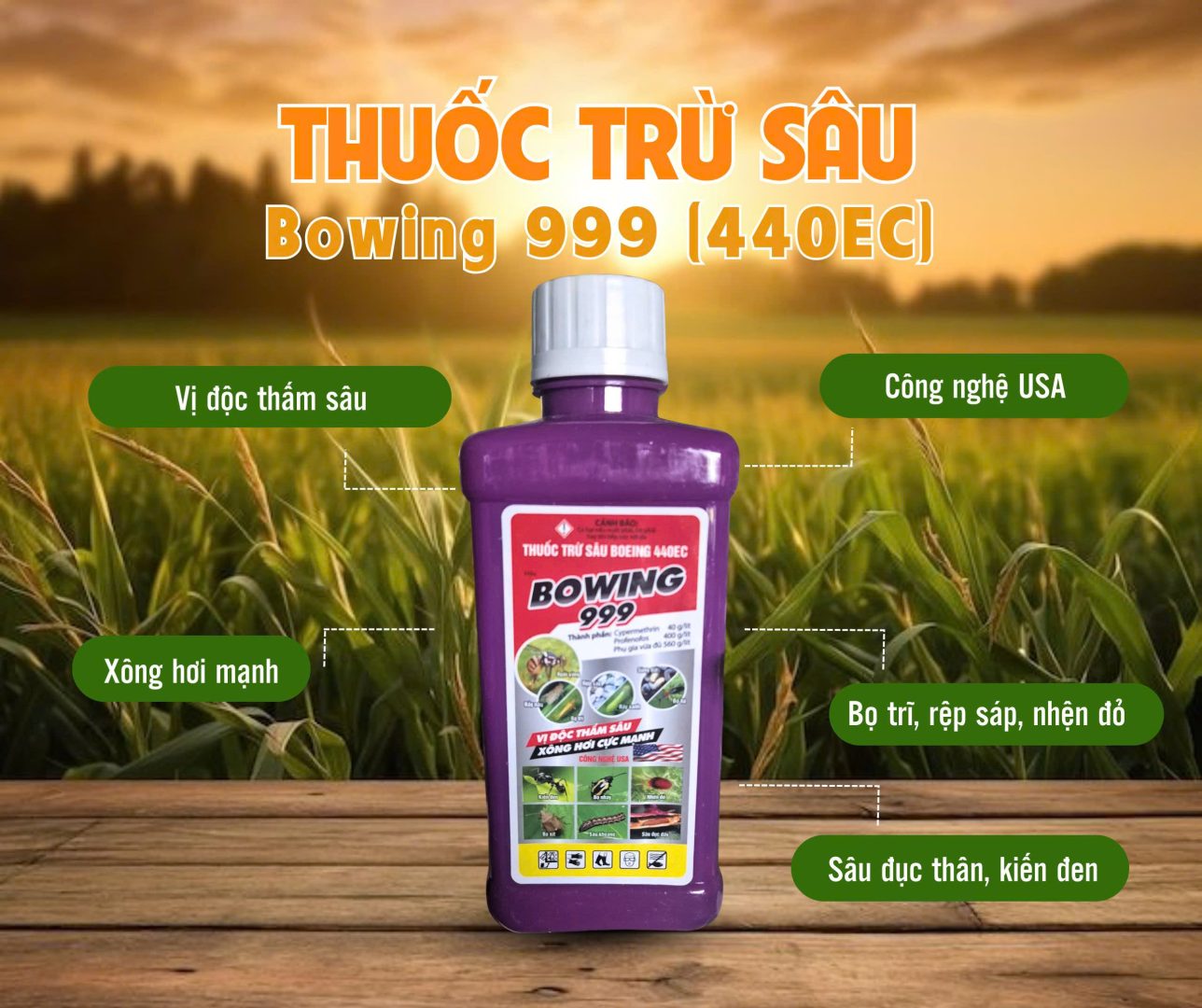 thuốc đặc trị rệp sáp trên cây cà phê Boeing