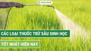 thuốc trừ sâu sinh học tốt nhất hiện nay