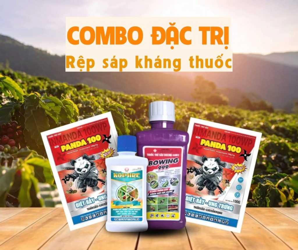 combo thuốc trị rệp sáp kháng thuốc