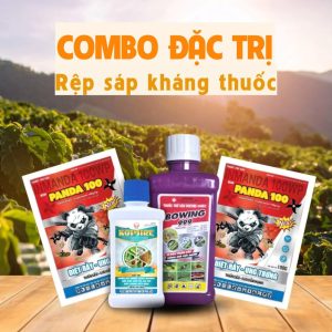 combo thuốc trị rệp sáp kháng thuốc