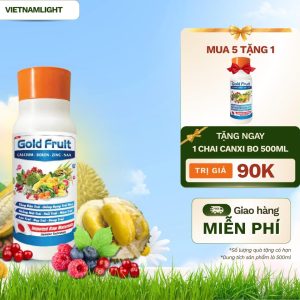 Khuyến mãi mua 5 tặng 1 canxibo gold fruit