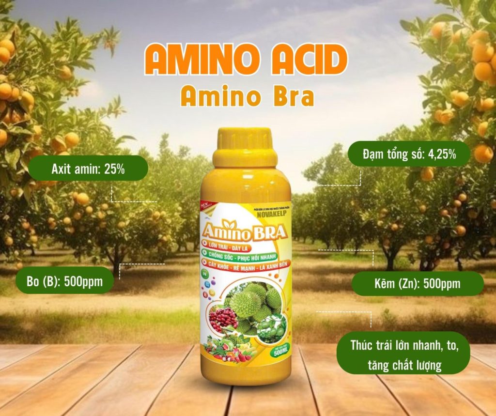 Phân bón lá amino acid siêu dưỡng trái