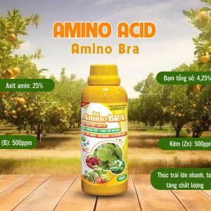 Phân bón lá amino acid siêu dưỡng trái