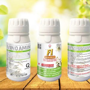Thuốc kích đọt F1