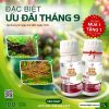 khuyến mãi mua 1 tặng 1 B12 kích rễ