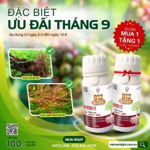 khuyến mãi mua 1 tặng 1 B12 kích rễ