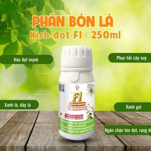 Phân bón lá siêu kích đọt F1