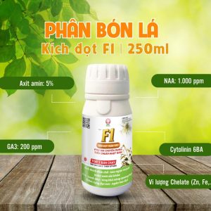 Phân bón lá kích đọt thần tốc F1