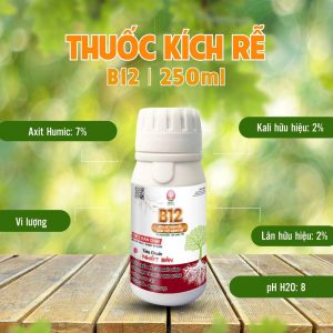 Thuốc kích rễ cực mạnh B12