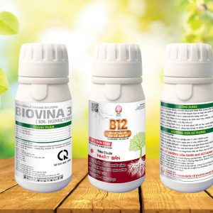 Thuốc kích rễ cây cực mạnh B12 cho mai vàng
