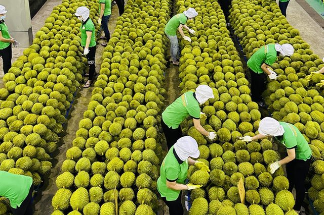 Thắt chặt tiêu chuẩn xuất khẩu với các mặt hàng nông sản