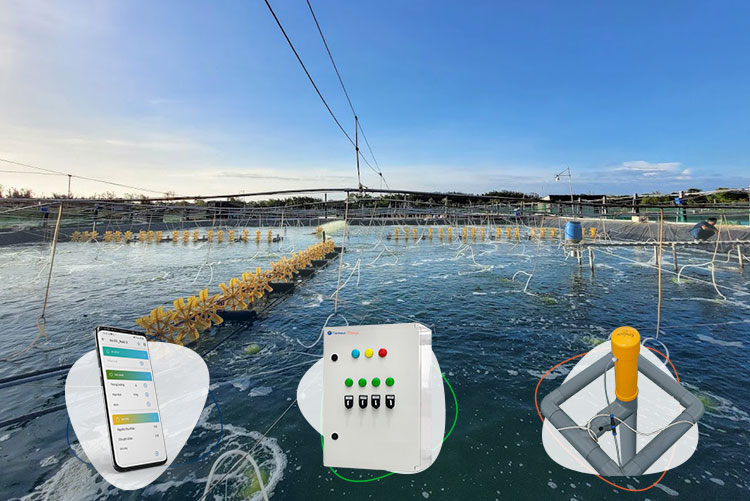 Tép Bạc ứng dụng công nghệ IoT trong giám sát quy trình nuôi tôm