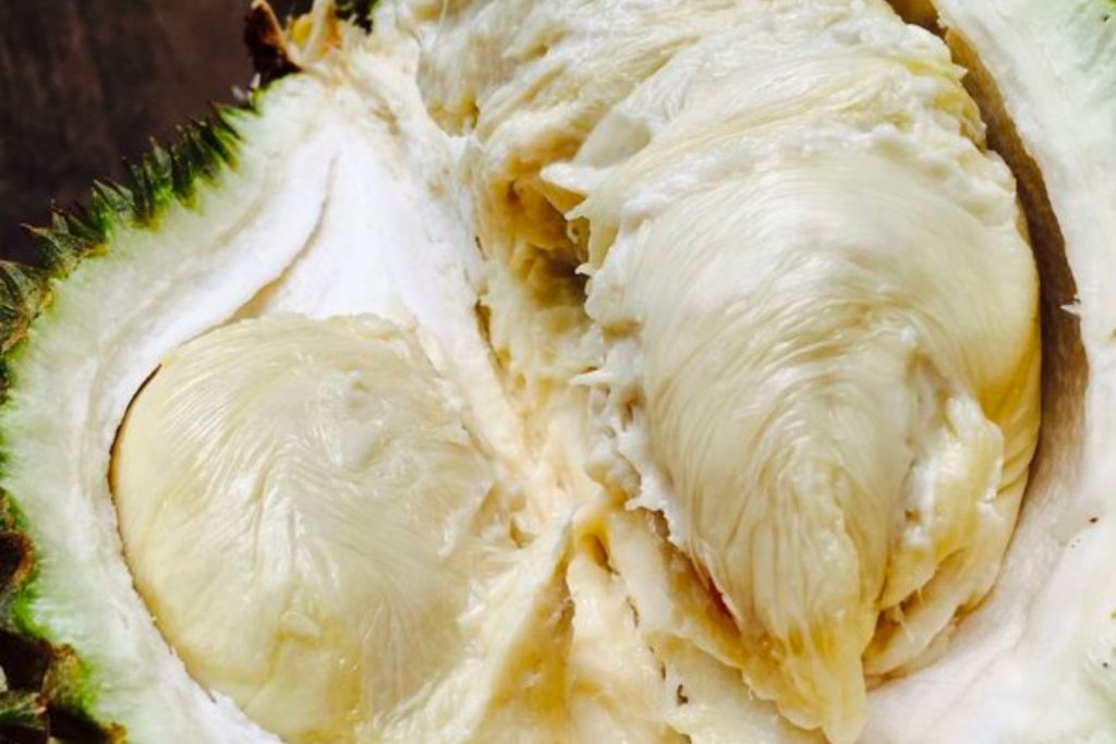 Sầu riêng bị sượng cơm nhão