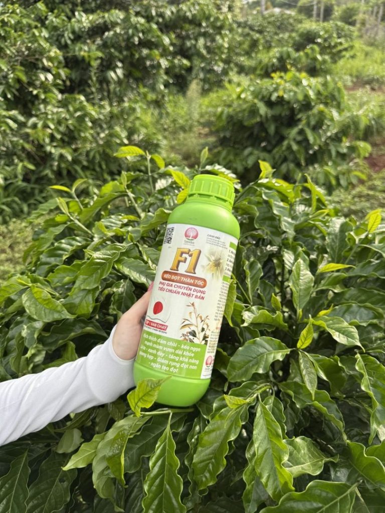 Sản phẩm F1 tích hợp thường được dùng để kích đọt mai vàng