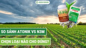 so sánh atonik và n3m