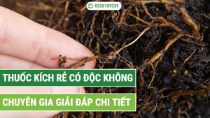 Thuốc kích rễ có độc không? Chuyên gia giải đáp chi tiết