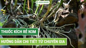 Hướng dẫn sử dụng thuốc kích rễ n3m