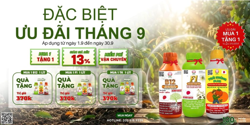 Chương trình khuyến mãi duy nhất trong tháng 9